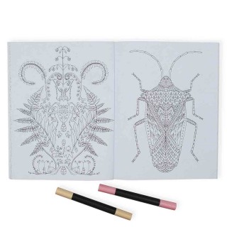 Wonderful Insects Coloring Book