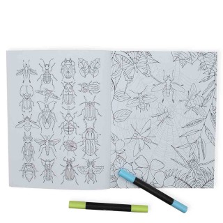 Wonderful Insects Coloring Book