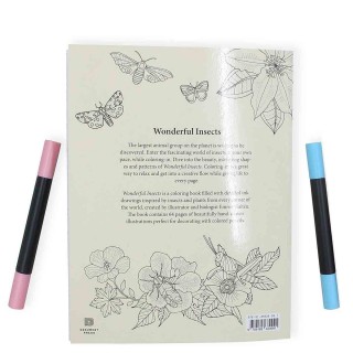 Wonderful Insects Coloring Book