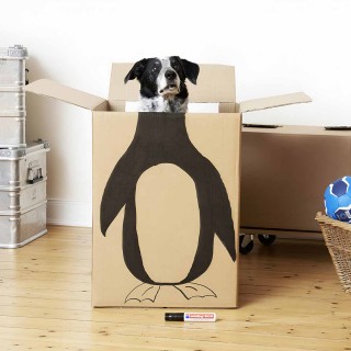 Edding 800 Permanent Marker