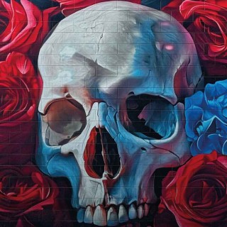 Kobra X JeksOne Limited Edition