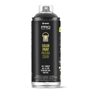 MTN PRO Color Matt Paint