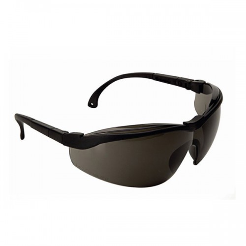 Climax 595-G Safety Glasses