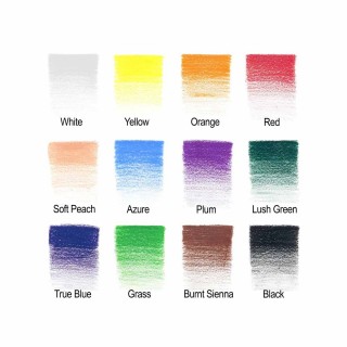 Winsor & Newton Colour Pencils Set 12